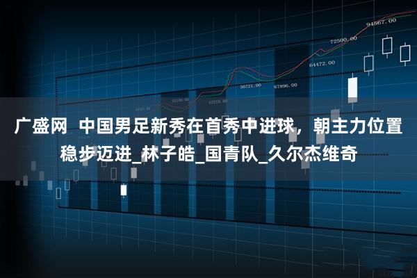 广盛网  中国男足新秀在首秀中进球，朝主力位置稳步迈进_林子皓_国青队_久尔杰维奇